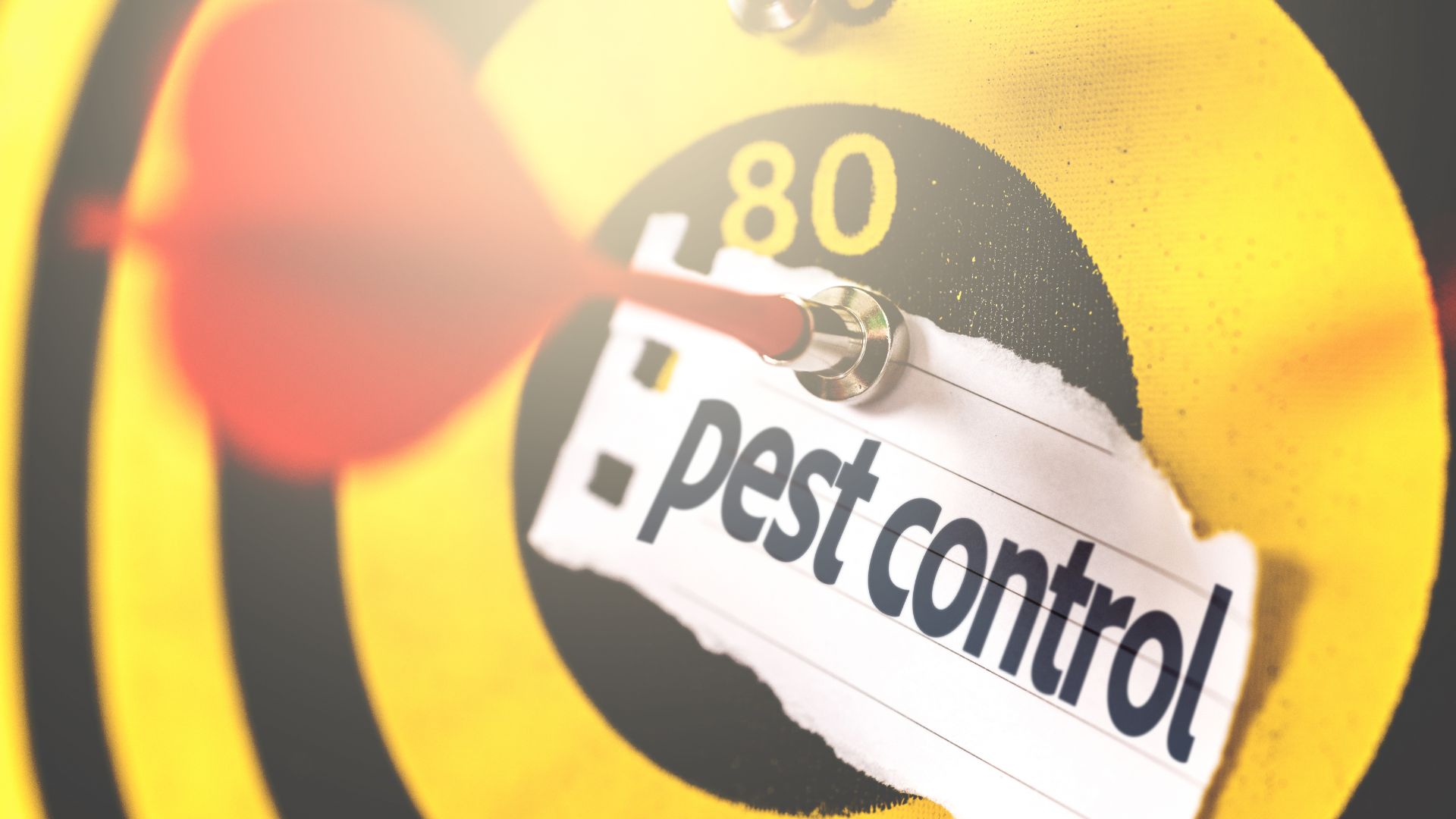 A close up of a bulls eye with the word pest control on it