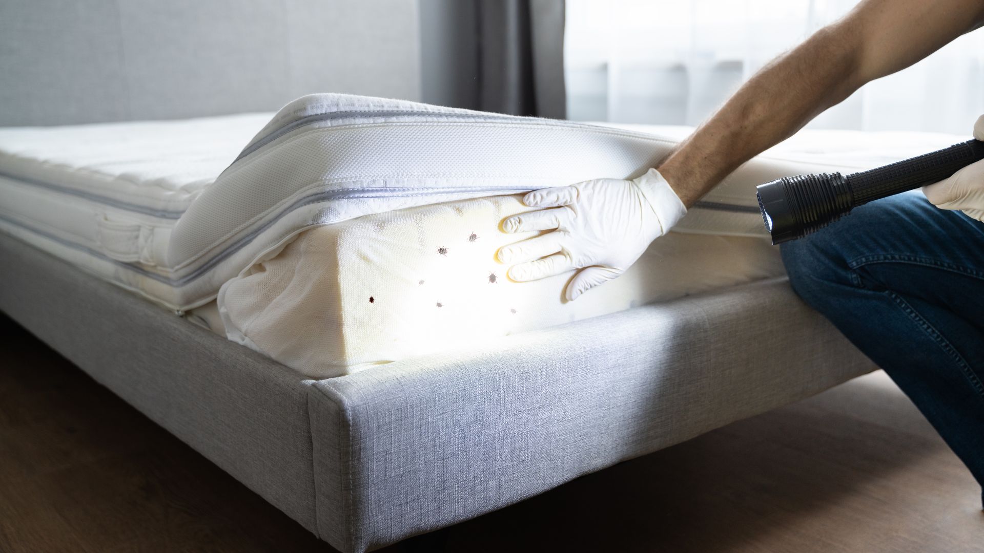 A person is cleaning a mattress with a vacuum